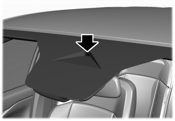 Image Shown Without Description