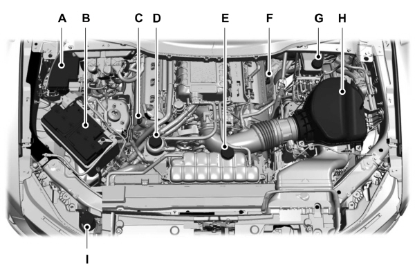 Image Shown Without Description