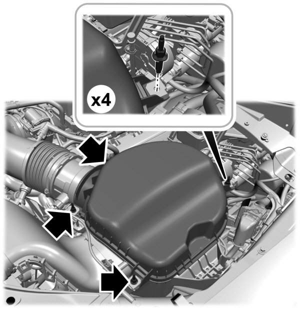 Image Shown Without Description