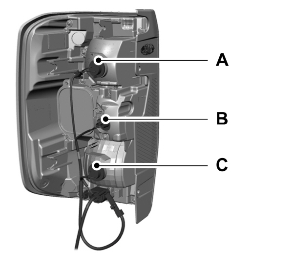 Image Shown Without Description