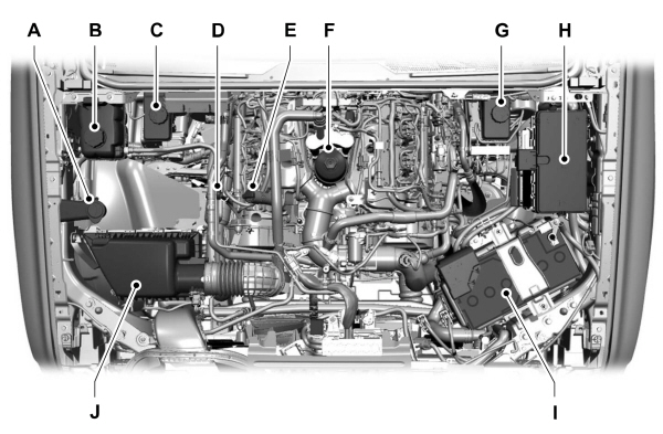 Image Shown Without Description
