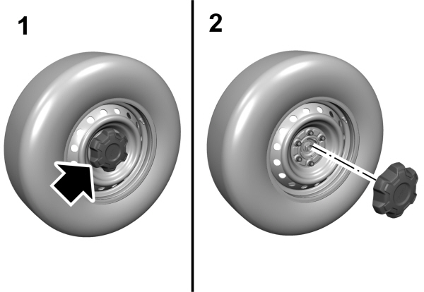 Image Shown Without Description