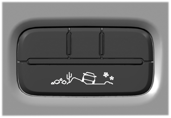 Image Shown Without Description