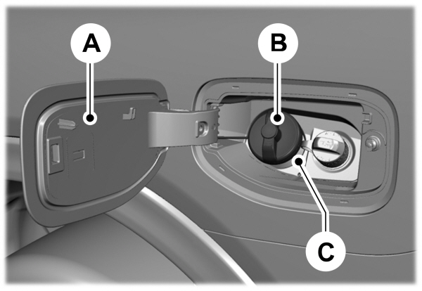 Image Shown Without Description