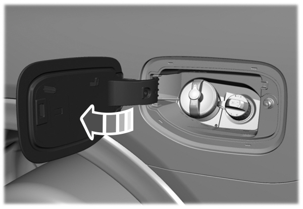 Image Shown Without Description