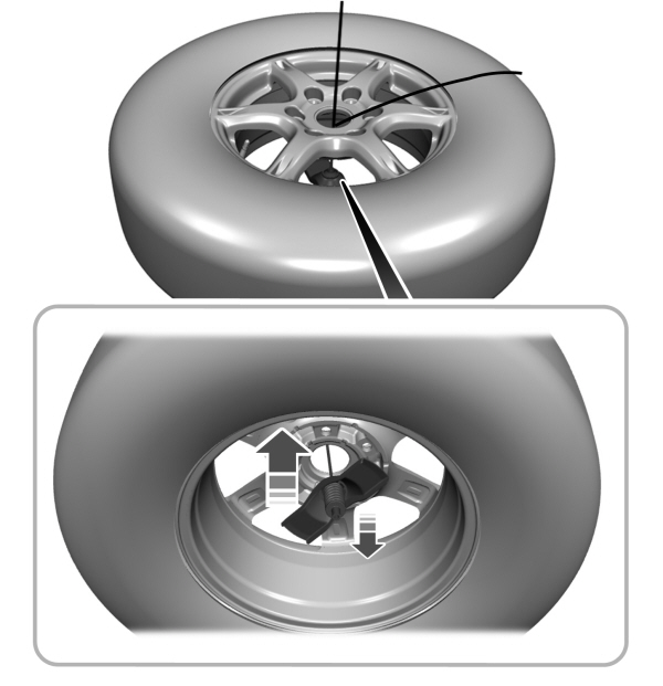 Image Shown Without Description