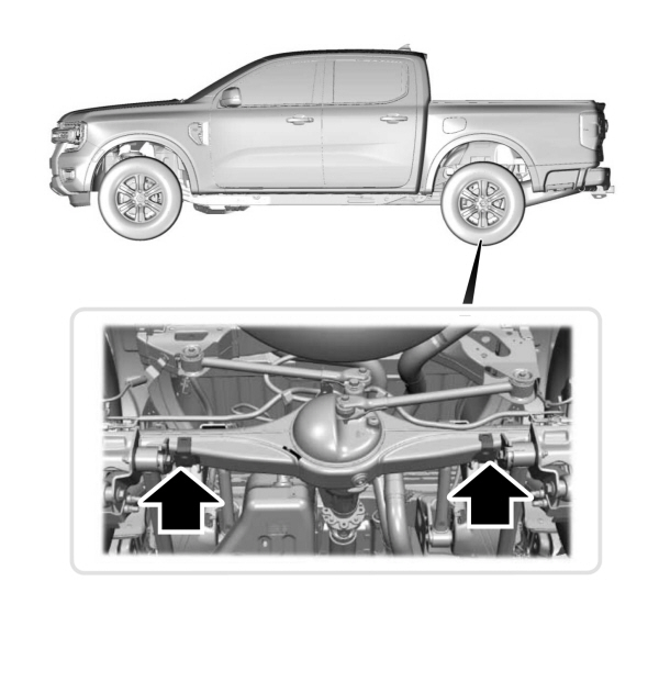 Image Shown Without Description