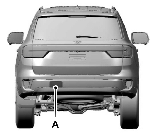 Image Shown Without Description