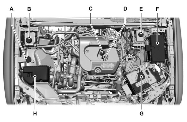 Image Shown Without Description