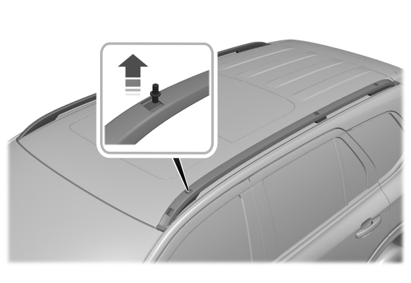 Image Shown Without Description