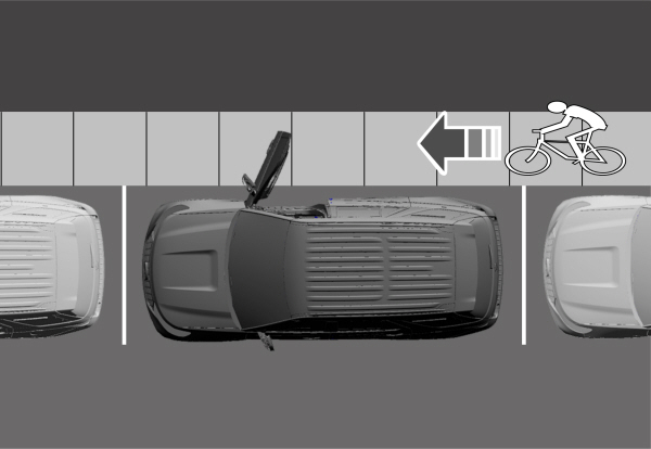 Image Shown Without Description