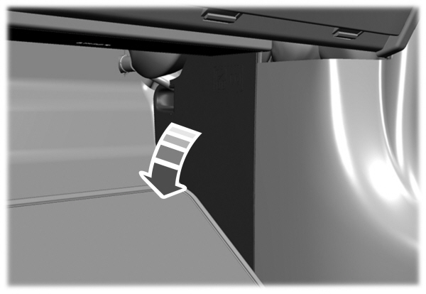 Image Shown Without Description
