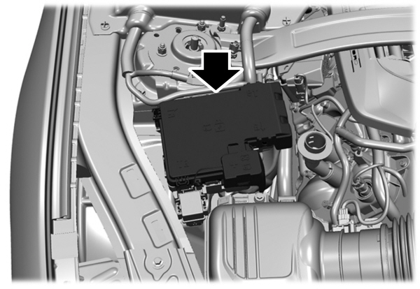 Image Shown Without Description