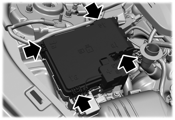 Image Shown Without Description
