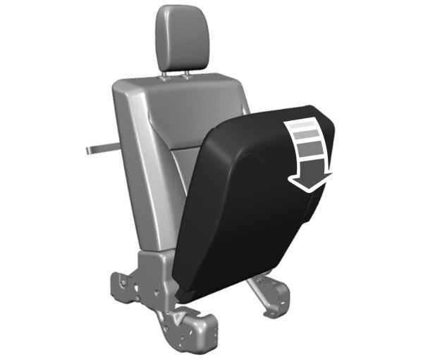 Image Shown Without Description