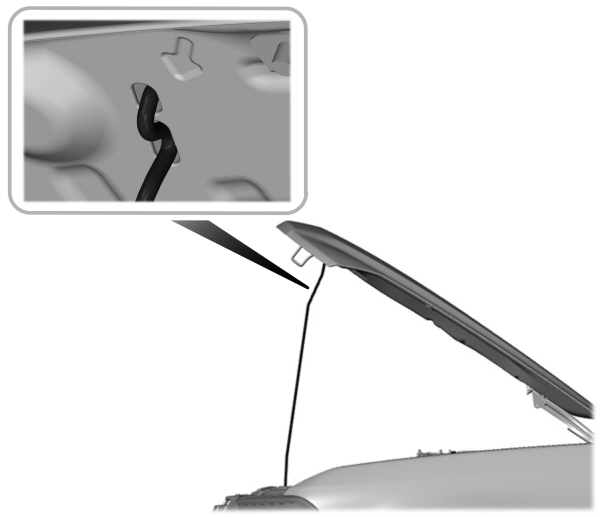 Image Shown Without Description