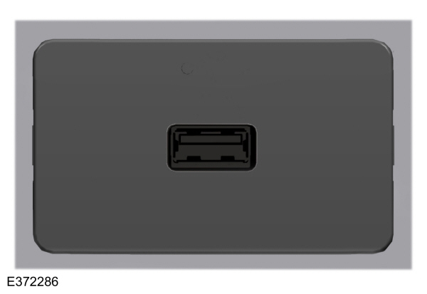 Image Shown Without Description