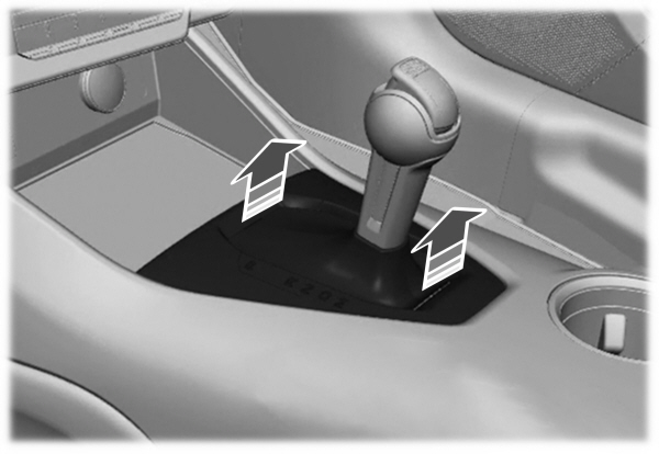 Image Shown Without Description