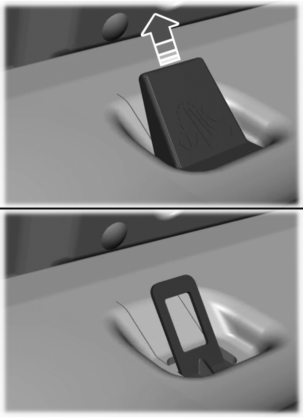 Image Shown Without Description