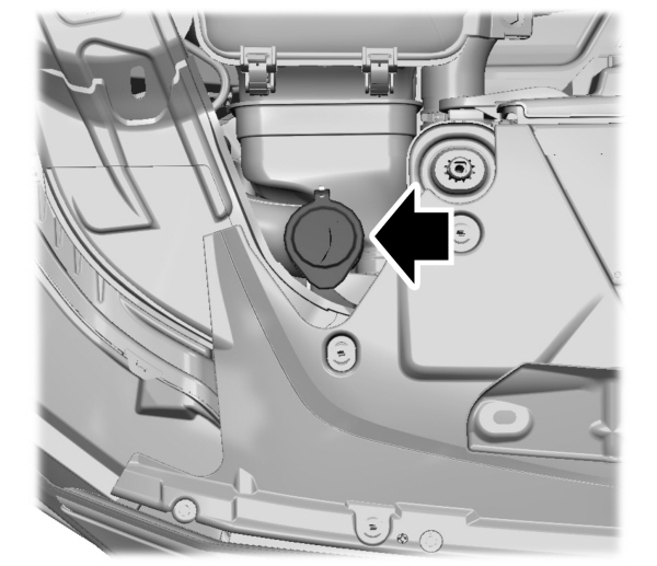 Image Shown Without Description