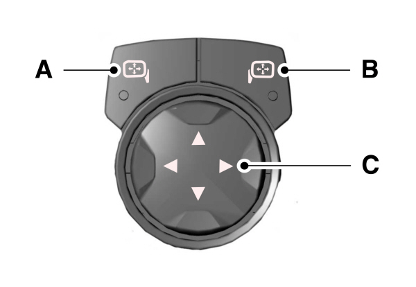 Image Shown Without Description