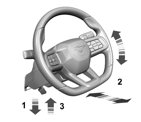 Image Shown Without Description