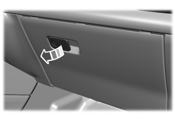 Image Shown Without Description