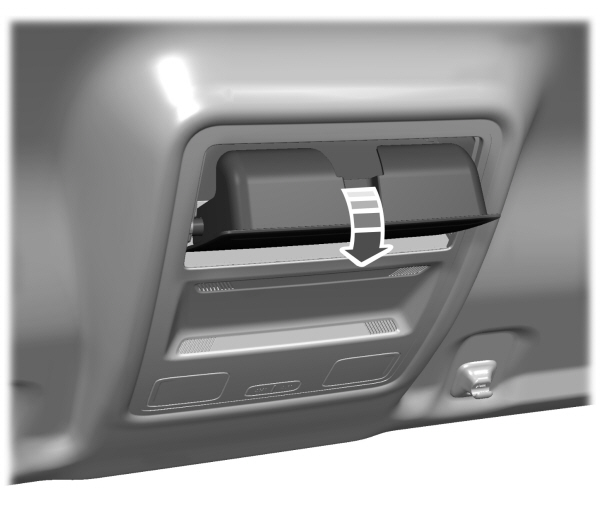 Image Shown Without Description