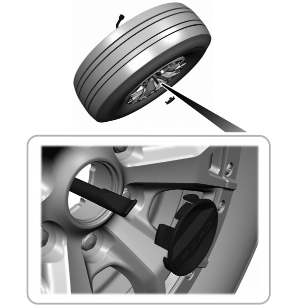 Image Shown Without Description