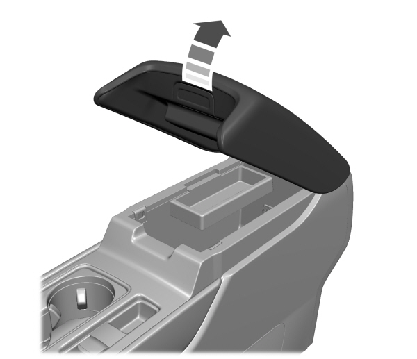 Image Shown Without Description