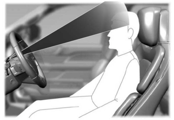 Image Shown Without Description