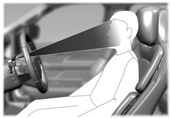 Image Shown Without Description