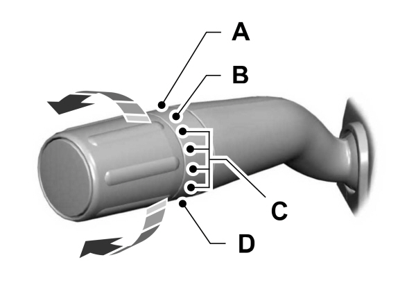 Image Shown Without Description