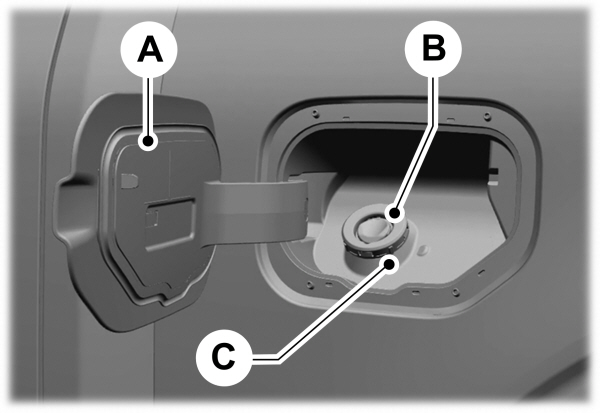 Image Shown Without Description
