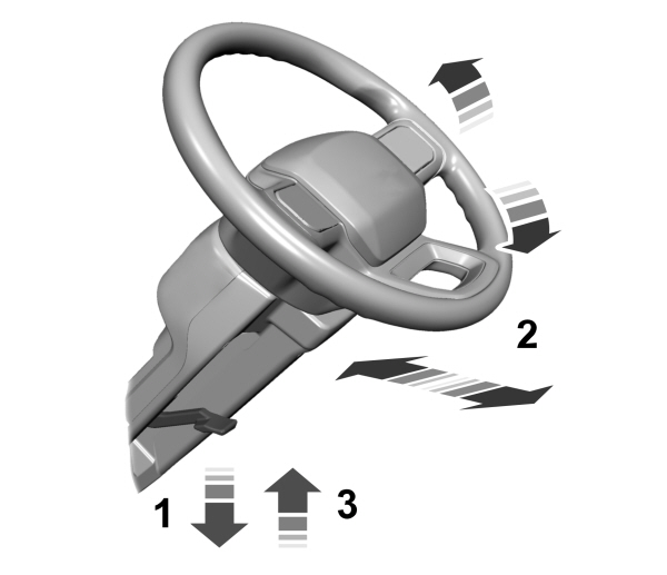 Image Shown Without Description