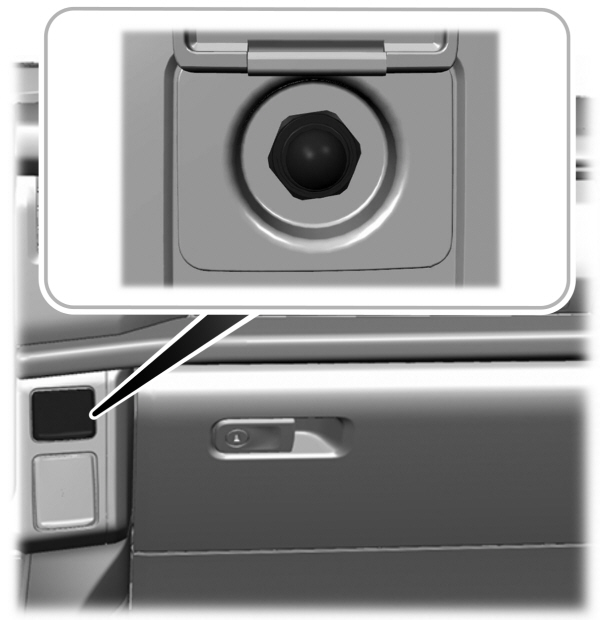 Image Shown Without Description