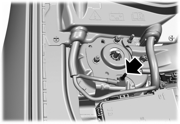 Image Shown Without Description