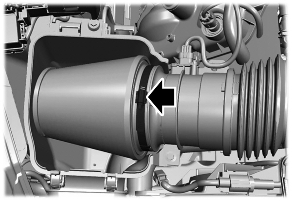 Image Shown Without Description