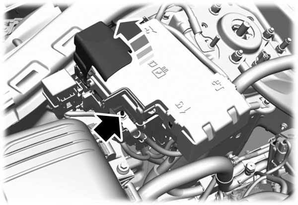 Image Shown Without Description