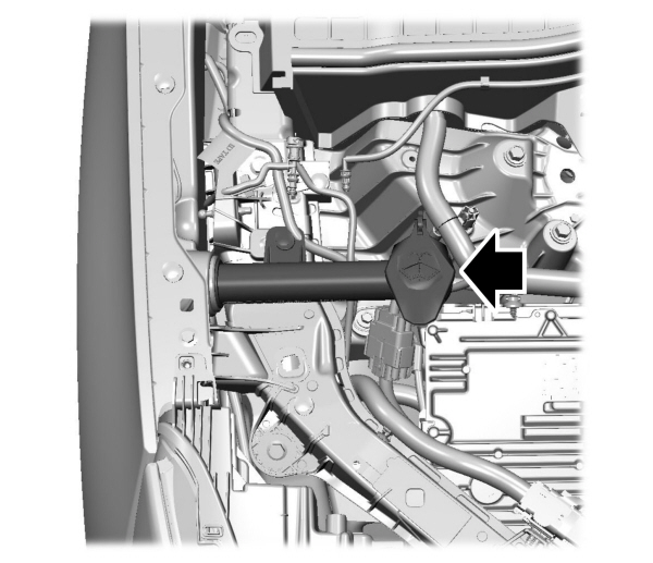 Image Shown Without Description