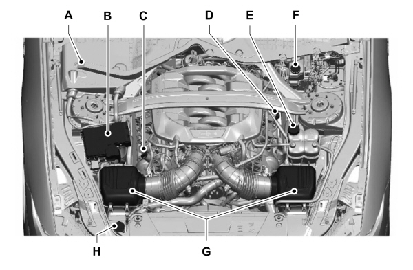 Image Shown Without Description