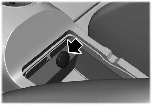 Image Shown Without Description