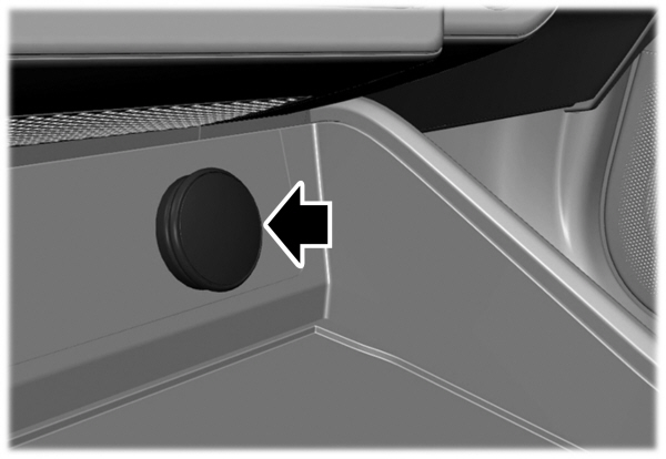 Image Shown Without Description