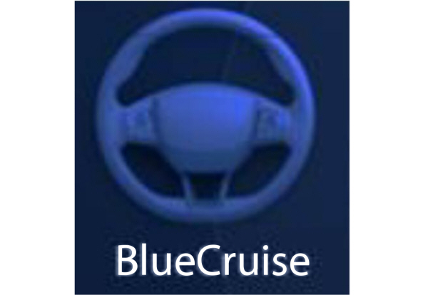 Image Shown Without Description