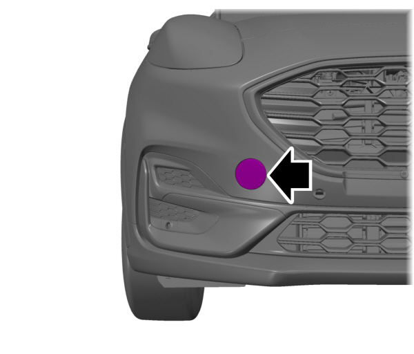 Image Shown Without Description