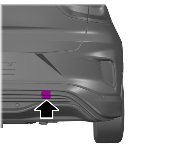 Image Shown Without Description