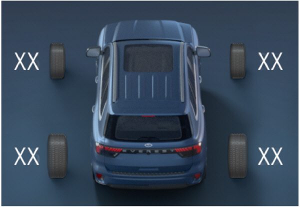 Image Shown Without Description