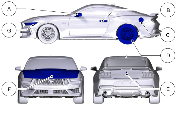 Image Shown Without Description