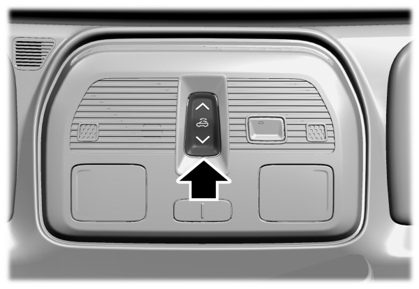 Image Shown Without Description