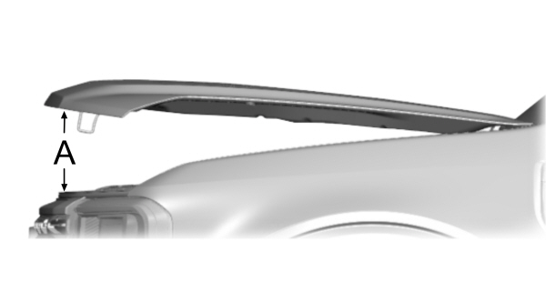 Image Shown Without Description